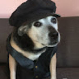 Meet your Posher, S.M. Nancy